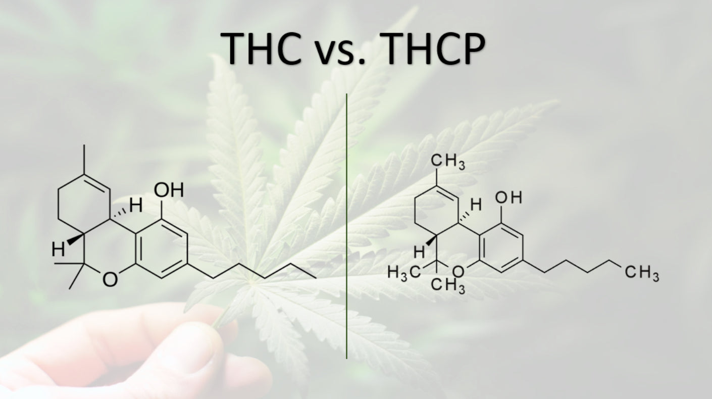 The Highs and Lows of THCP: Why Hemp Consumers Need to Proceed with Caution