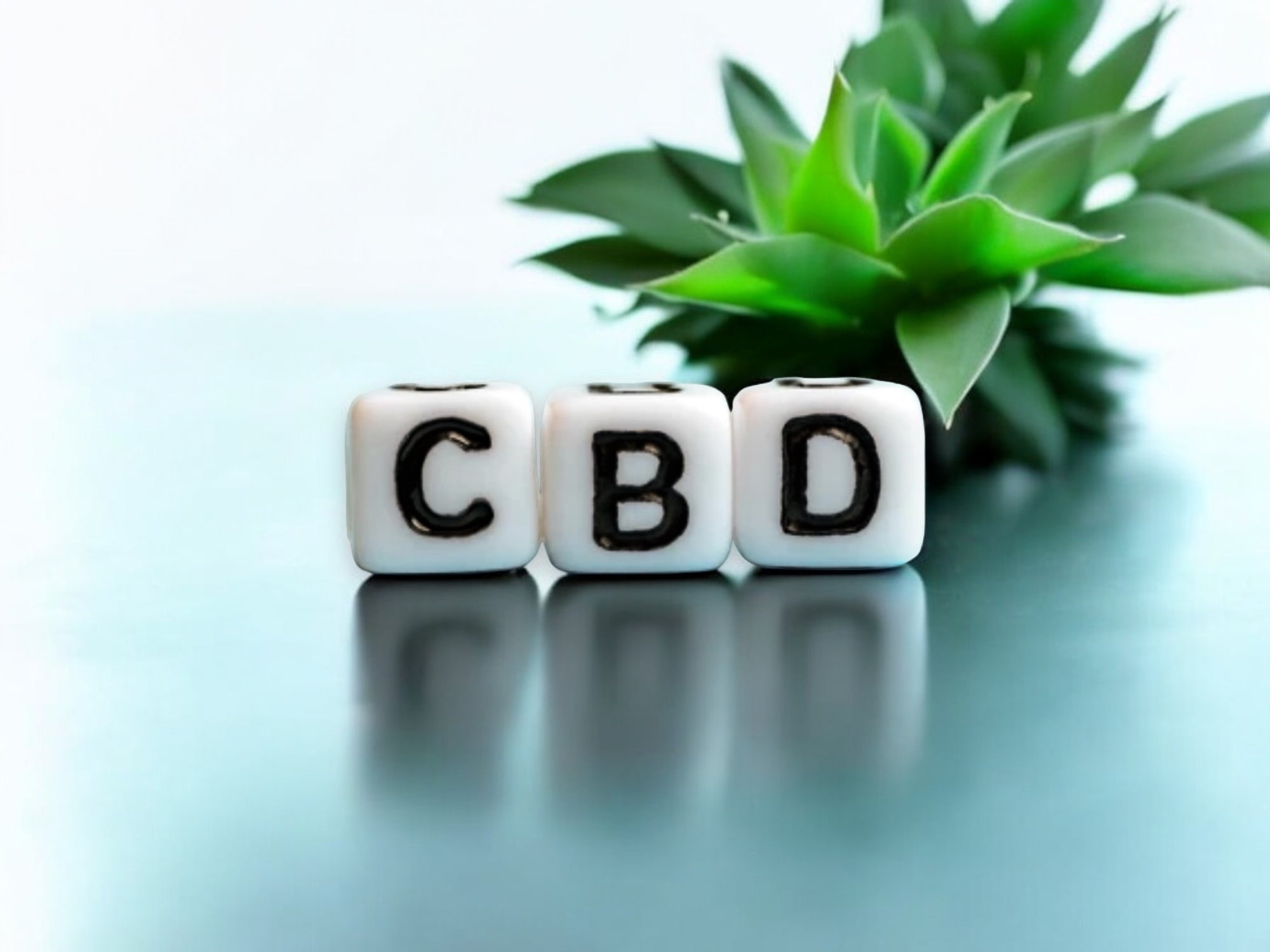 Why CBD Sources Matter for Quality