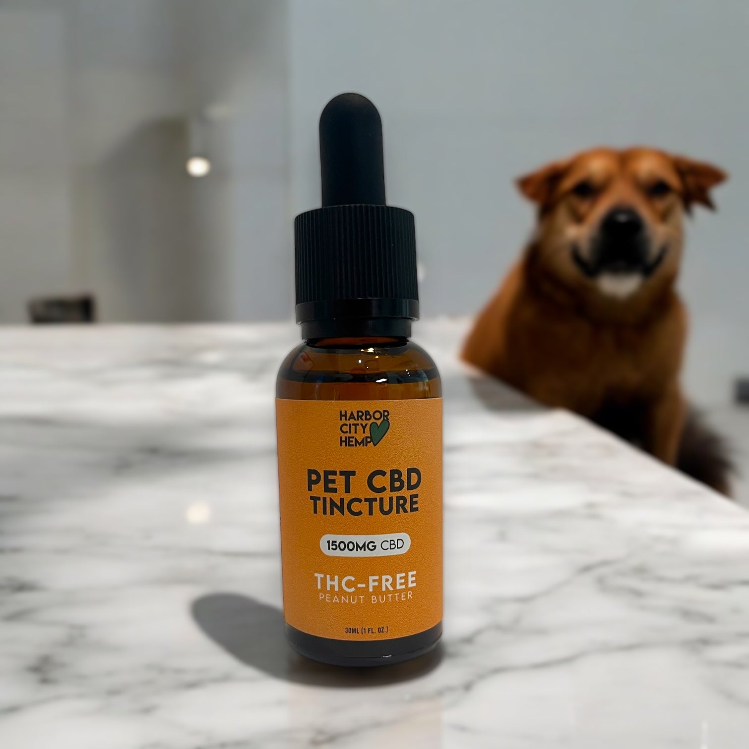 Harbor City Hemp 1500mg CBD Dog Tincture - Peanut Butter