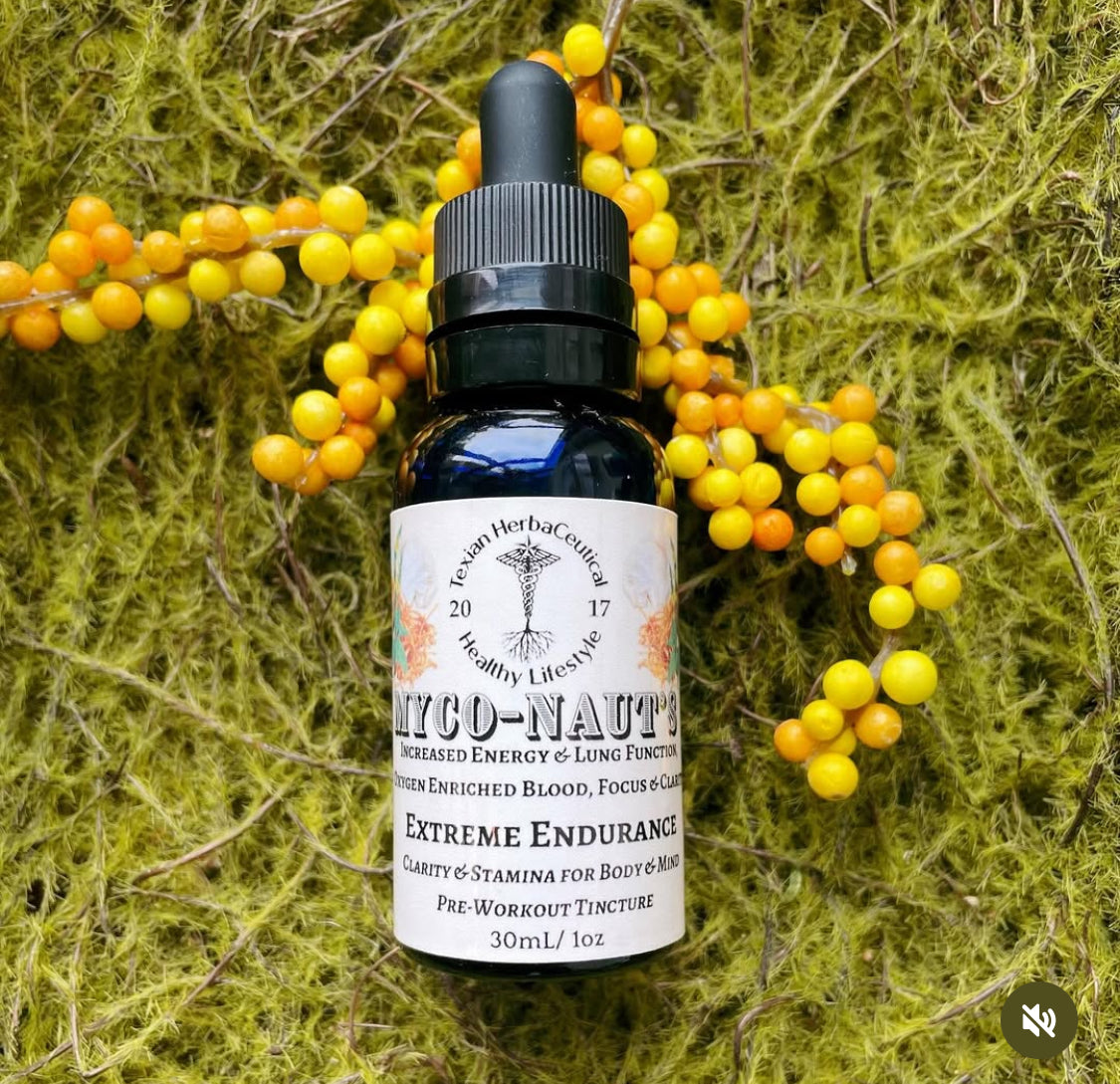 texian extreme endurance mushroom tincture for energy and athletes thc free pre work out